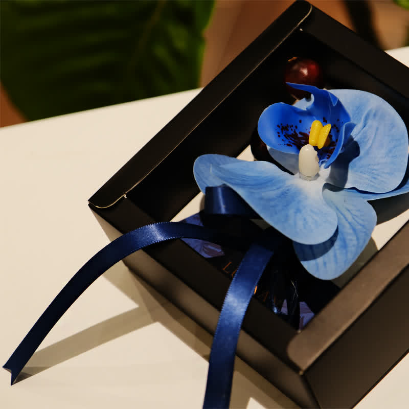 Juego de 3 broches y pañuelos con forma de falaenopsis azul para hombre