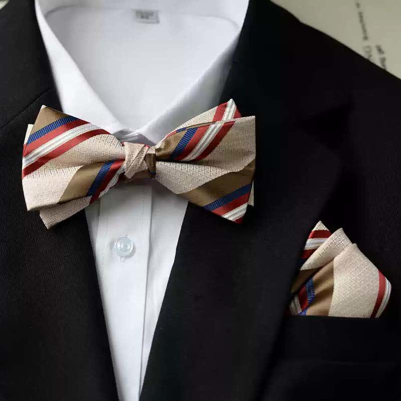 Pajarita con pañuelo de doble capa con estampado vintage para hombre