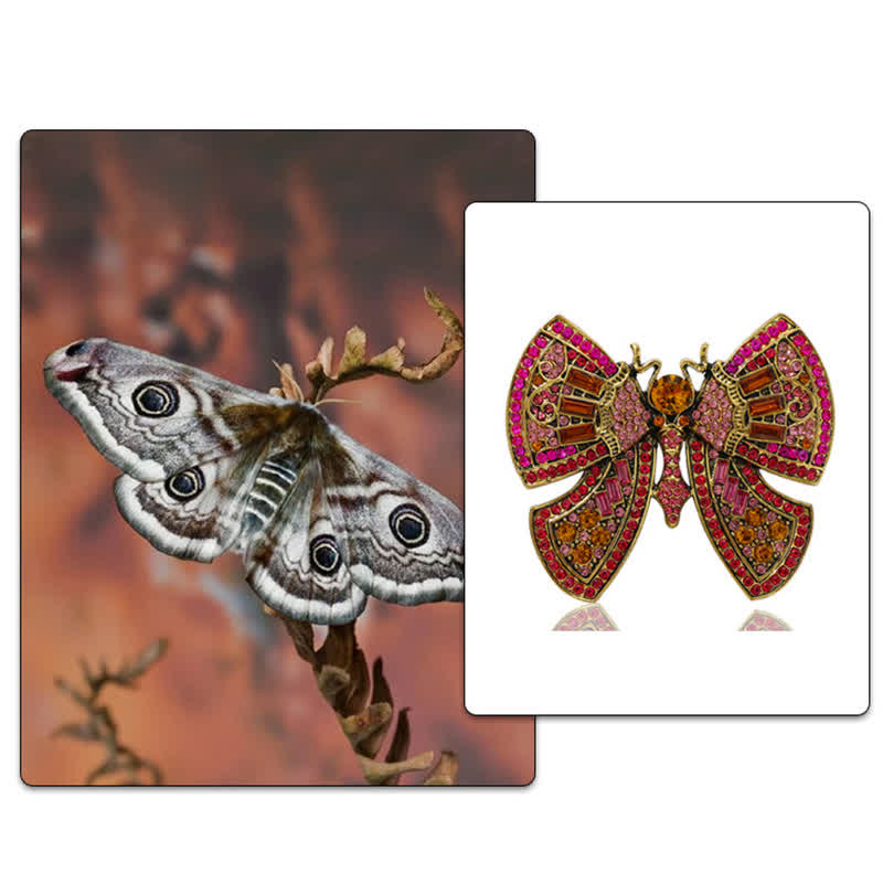 Broche de mariposa con cristales de imitación para mujer