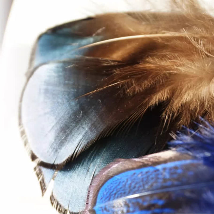 Pajarita con plumas de pájaro en azul marino y negro