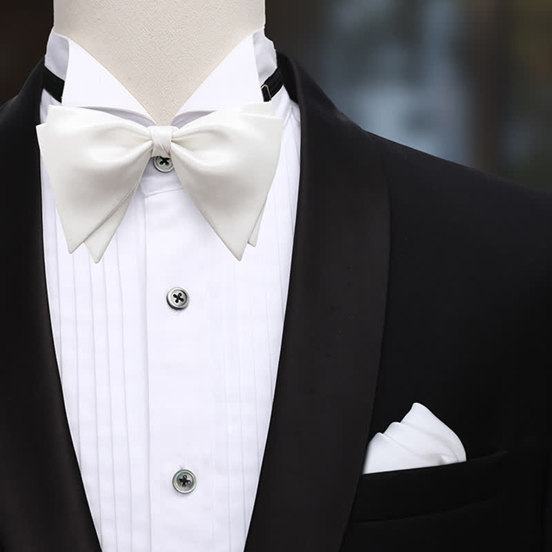 Pajarita de boda elegante de gran tamaño con punta para hombre
