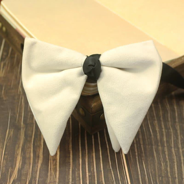 Pajarita de boda de terciopelo de gran tamaño y punta para hombre