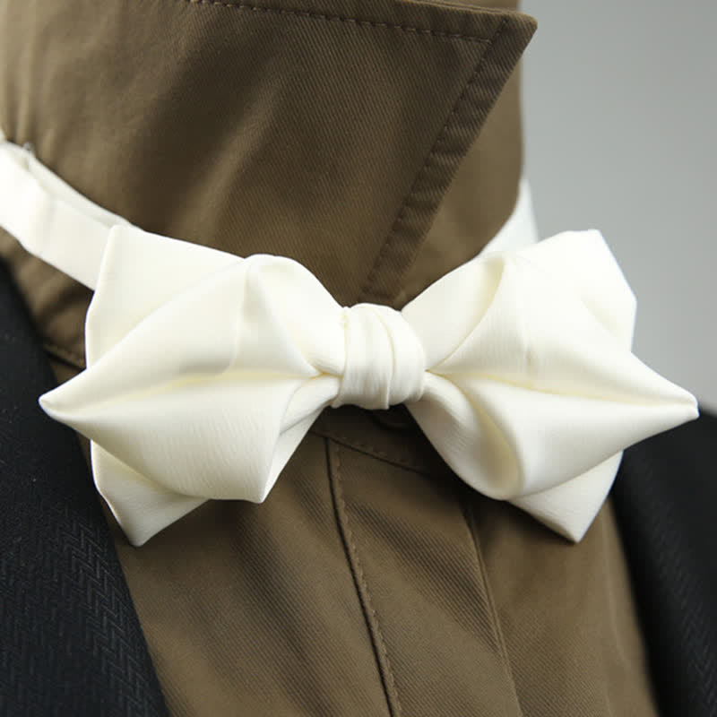 Pajarita de estilo informal para hombre con forma puntiaguda única