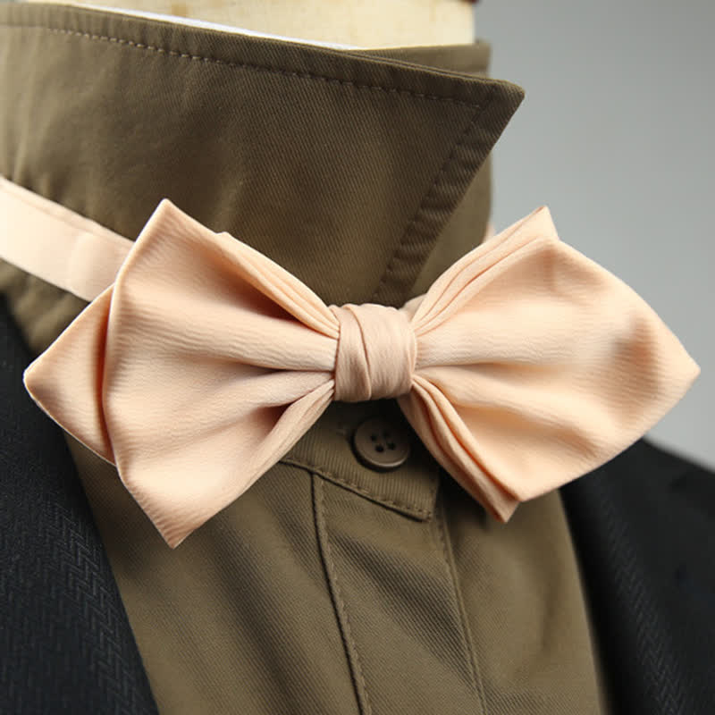 Pajarita de boda especial para hombre con forma puntiaguda