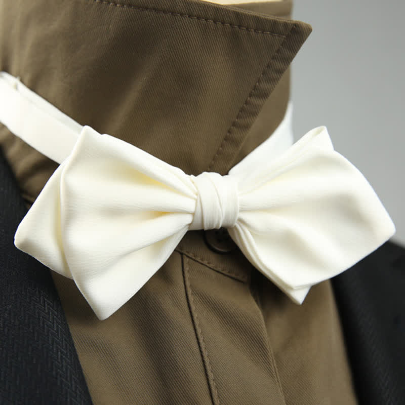 Pajarita de boda especial para hombre con forma puntiaguda