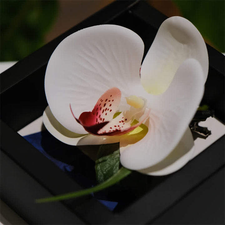 Juego de 3 pañuelos y pajaritas de Phalaenopsis blanca para hombre