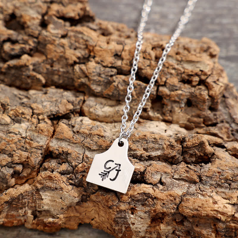 Collar de acero inoxidable con inicial de mini etiqueta de ganado de plata personalizado - image 10