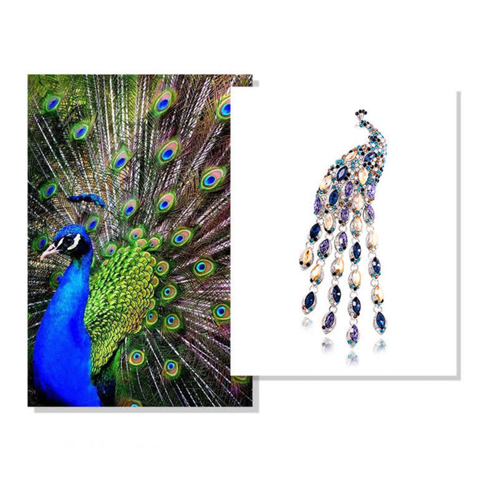 Broche de pavo real con flecos Grazioso para mujer