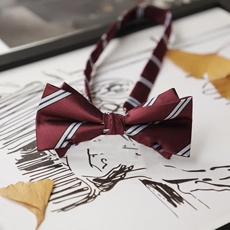 Pajarita de caballero de la serie Burgundy para hombre
